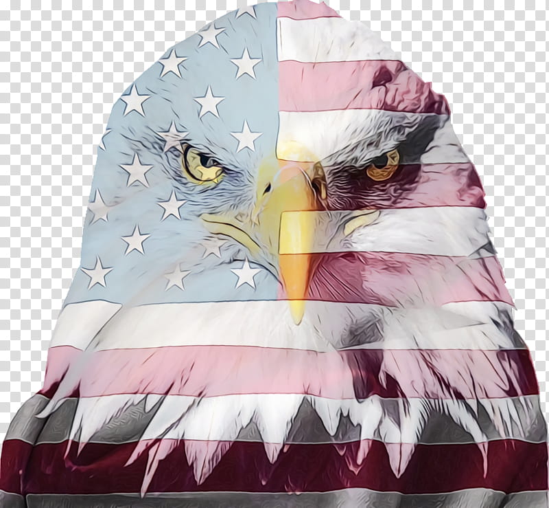 Fourth Of July, 4th Of July, Independence Day, American Flag, Eagle, Bald Eagle, Whitetailed Eagle, Hawk transparent background PNG clipart