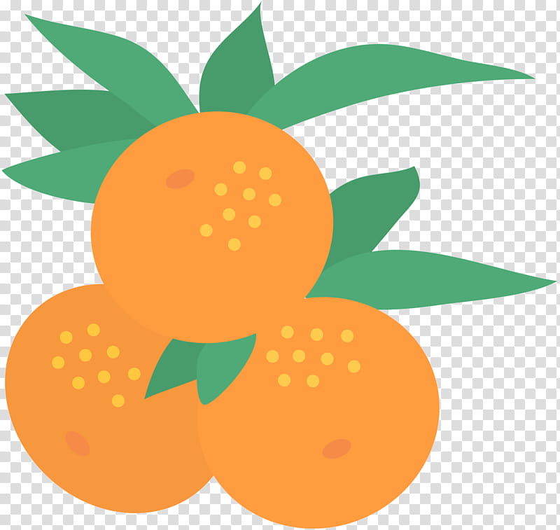 Orange Flower, Fruit, Plants, Leaf, Yellow, Citrus, Pineapple, Mandarin Orange transparent background PNG clipart