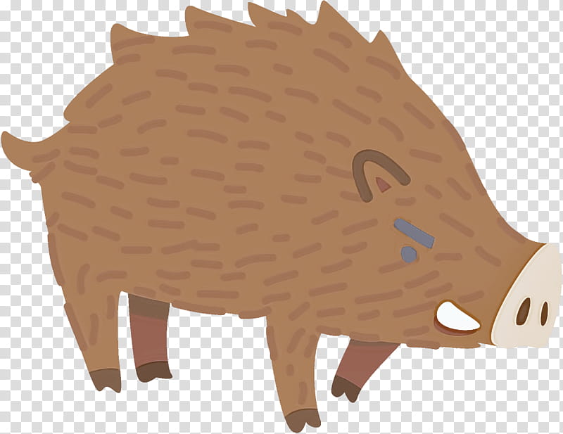 boar hedgehog live suidae snout, Live, Erinaceidae transparent background PNG clipart