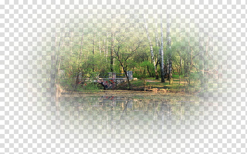 Cartoon Nature, Bayou, Swamp, Water Resources, Land Lot, Tree, Real Property, Natural Landscape transparent background PNG clipart
