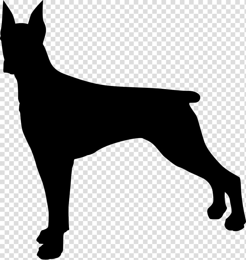 Dog Silhouette, Dobermann, Miniature Pinscher, Boxer, Pet, Tail, Great Dane, Guard Dog transparent background PNG clipart