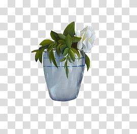 Flowers , white potted flower transparent background PNG clipart