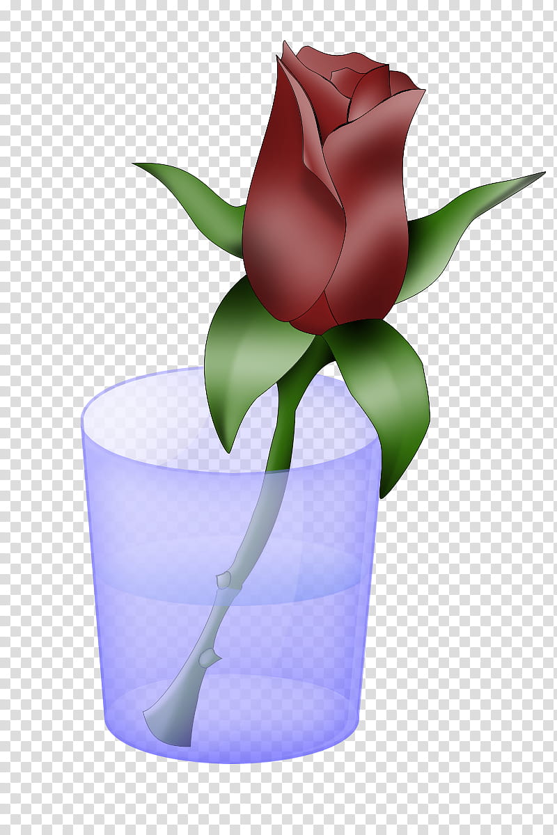 Rose Rouge, Rose dans un verre icon transparent background PNG clipart
