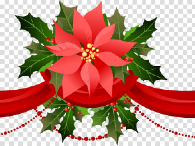 Christmas Poinsettia, Christmas Day, Christmas Decoration, Christmas Ornament, Garland, Christmas Tree, Holly, Flower transparent background PNG clipart
