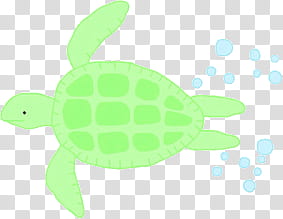 s, Tortuga transparent background PNG clipart