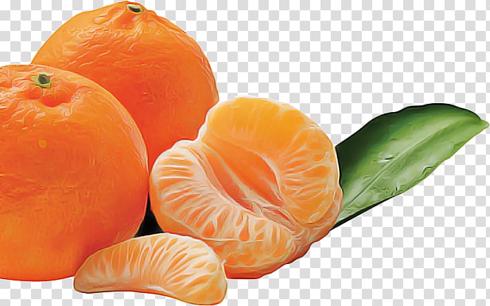 Winter, Clementine, Mandarin Orange, Food, Tangelo, Tangerine, Winter Squash, Superfood transparent background PNG clipart