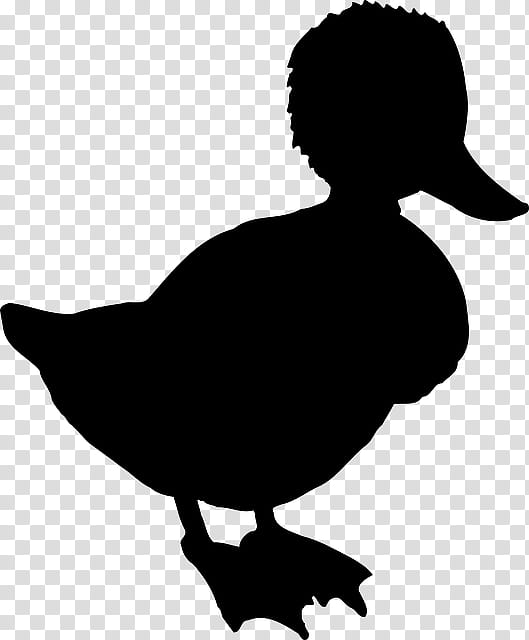 Bird Silhouette, Atlantic Puffin, Beak, Fowl, Business, Collecting, Shailene Woodley, Duck transparent background PNG clipart