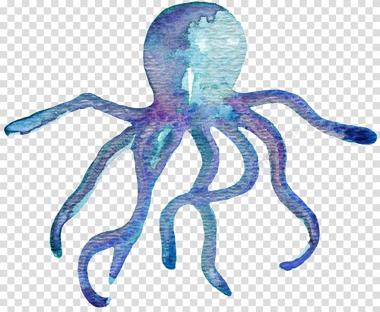 Octopus, Watercolor Painting, Sea, Animal, Marine Life, Animal Figure  transparent background PNG clipart | HiClipart