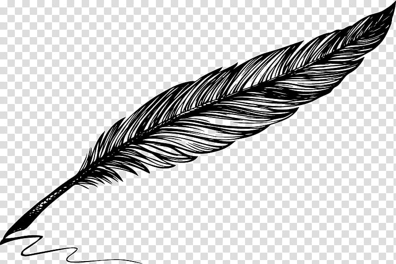 Pencil, Drawing, Quill, Inkwell, Feather, Line Art, Fountain Pen, Writing Implement transparent background PNG clipart