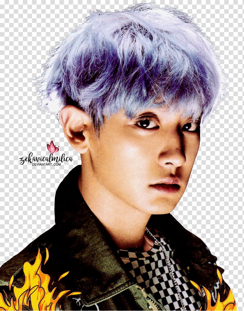 EXO Chanyeol The Power Of Music, EXO Chanyeol transparent background PNG clipart