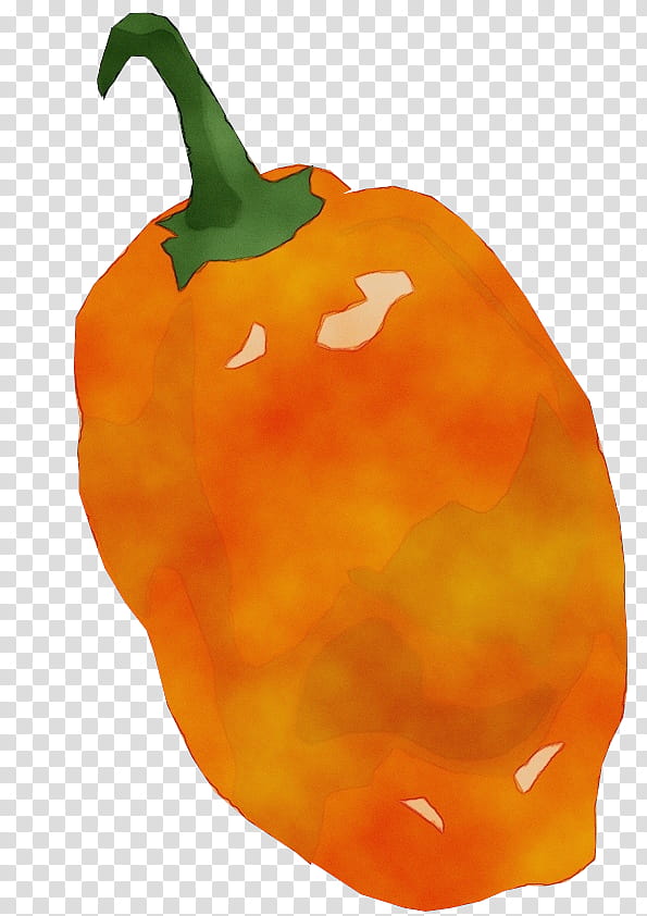 Orange, Watercolor, Paint, Wet Ink, Bell Pepper, Pimiento, Capsicum, Bell Peppers And Chili Peppers transparent background PNG clipart