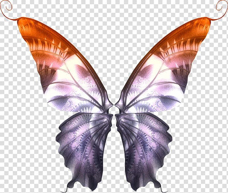 Object Wings , white, gray, and brown butterfly wing illustration transparent background PNG clipart