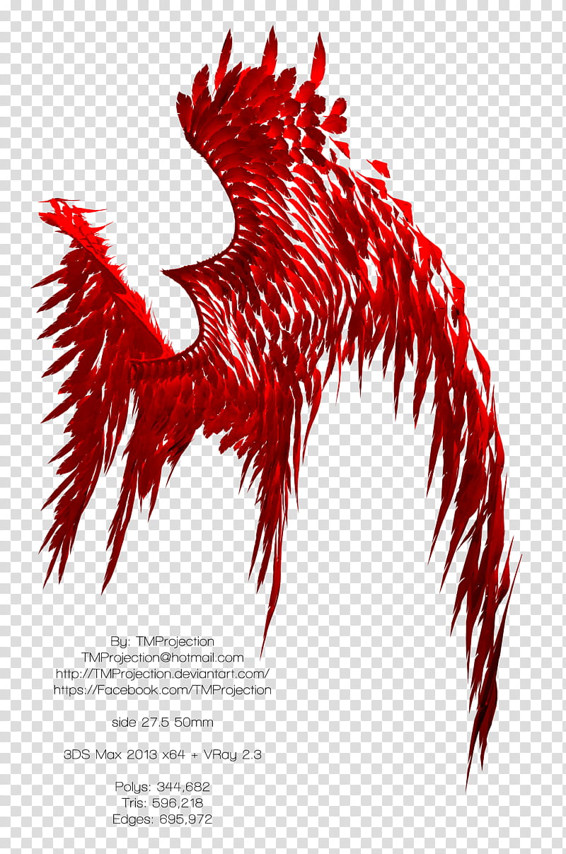 Angel Devil Wings Free k Resolution  transparent background PNG clipart