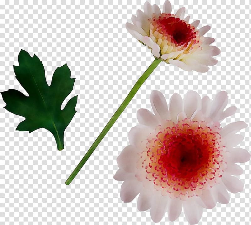 Artificial Flower, Transvaal Daisy, Barberton Daisy, Gerbera, Plant, Petal, Daisy Family, Asterales transparent background PNG clipart