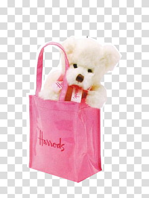 harrods transparent bag