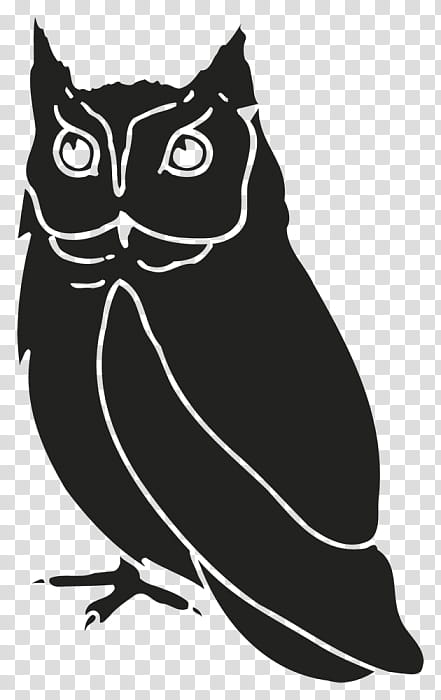 Cat Silhouette, Owl, Beak, Character, Black, Bird, Black And White
, Bird Of Prey transparent background PNG clipart