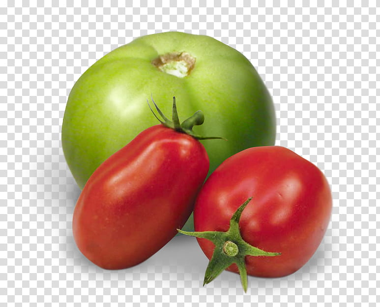 Vegetable, Plum Tomato, Roma Tomato, Food, Fried Green Tomatoes, Bush Tomato, Vegetarian Cuisine, Bell Pepper transparent background PNG clipart