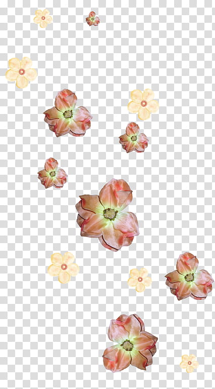 Floral Flower, Blog, Diary, Flores De Corte, Petal, Netease, Sina Corp, Pink transparent background PNG clipart
