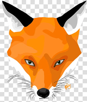 red fox fox head snout whiskers, Wildlife transparent background PNG clipart thumbnail