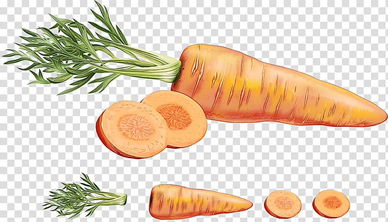carrot root vegetable vegetable parsnip food, Watercolor, Paint, Wet Ink, Arracacia Xanthorrhiza, Natural Foods, Vegan Nutrition, Plant transparent background PNG clipart