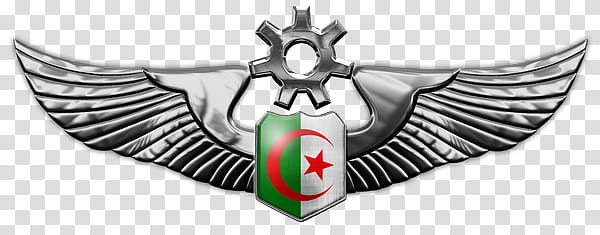 Algerian Air Force Wings transparent background PNG clipart