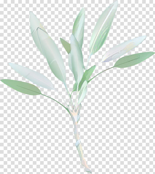 Watercolor Flower, Drawing, Cartoon, Ms Paint Adventures, Common Sage, Fan Art, Watercolor Painting, Leaf transparent background PNG clipart