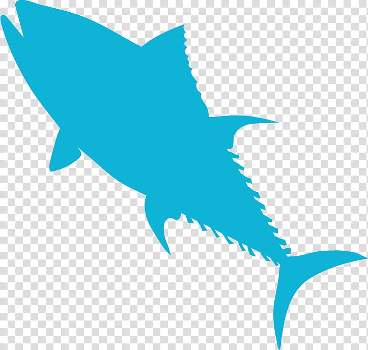 Shark Fin, Yellowfin Tuna, Fishing, Mahimahi, Adventure, Canned Fish, Jigging, Turquoise transparent background PNG clipart