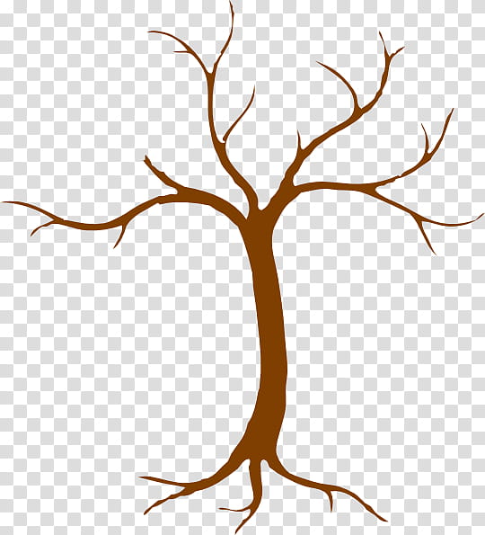 Tree Root, Trunk, Branch, Wood, Bark, Cork, Woody Plant, Leaf transparent background PNG clipart