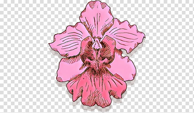 pink flower plant petal hibiscus, Iris, Mallow Family transparent background PNG clipart