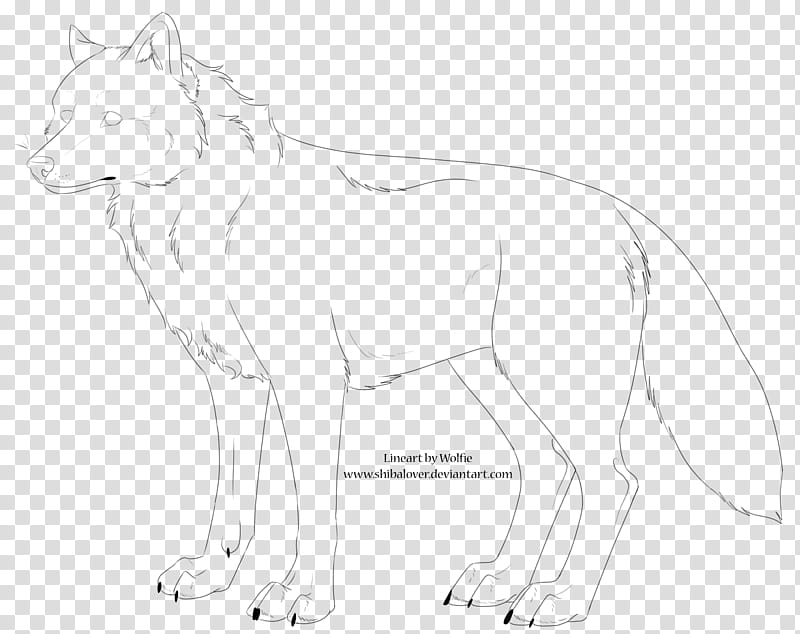 Free Wolf Lineart, wolf illustration transparent background PNG clipart