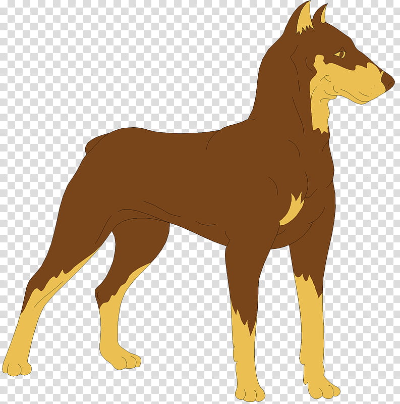 Dog Drawing, Dobermann, Logo, Document, Horse, Mane, Tail, Wildlife transparent background PNG clipart