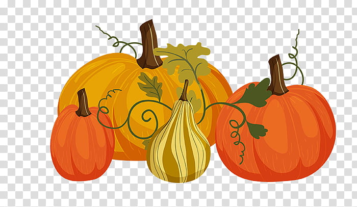 Witch, Pumpkin, Broom, Gourd, Winter Squash, Calabaza, Natural Foods, Orange transparent background PNG clipart