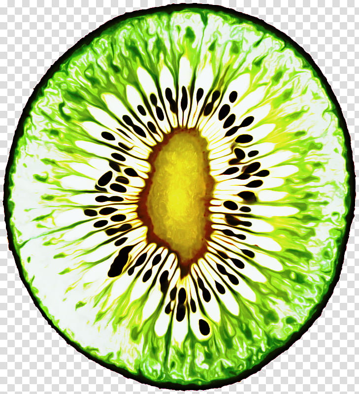 Green Circle, Kiwifruit, Plant, Hardy Kiwi transparent background PNG clipart