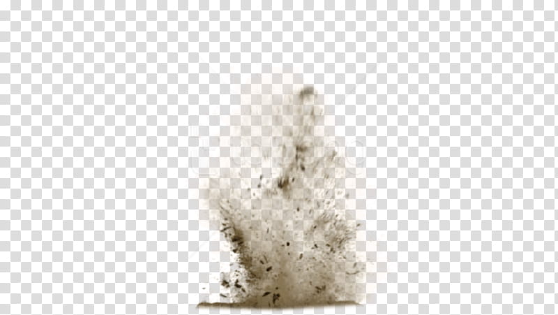 Cartoon Explosion, Dust, Dust Explosion, White, Beige, Fur transparent background PNG clipart