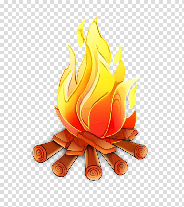Campfire, Wildfire, Flame, Firewood, Outdoor Cooking, Orange, Plant transparent background PNG clipart