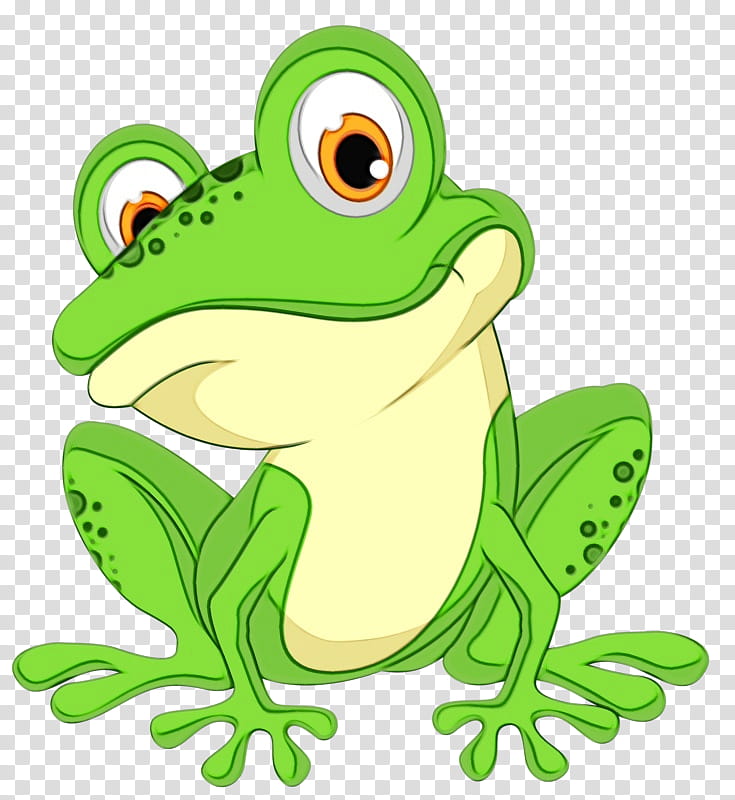 true frog green frog cartoon tree frog, Watercolor, Paint, Wet Ink, Hyla, Toad transparent background PNG clipart