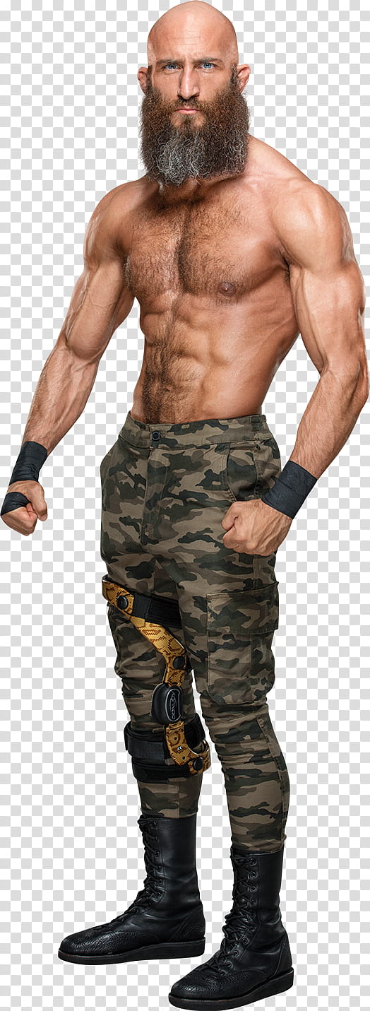 Tommaso Ciampa  Stats transparent background PNG clipart