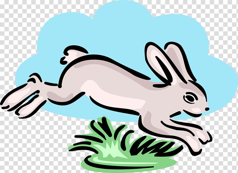 Easter Bunny, Hare, Rabbit, Rabbit Show Jumping, Line Art, Tail, Animal Figure, Wildlife transparent background PNG clipart