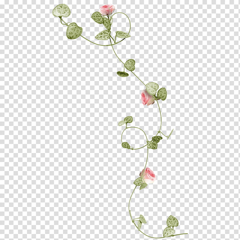 Watercolor Floral, Rose, Vine, Flower, Frames, Watercolor Painting, Pink Flowers, Floral Design transparent background PNG clipart