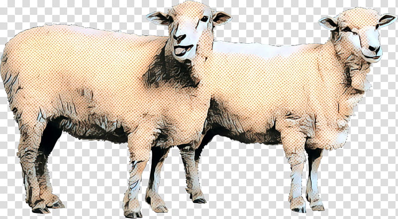 Eid Al Adha Islamic, Eid Mubarak, Sheep, Muslim, Cat, Animal, Dog, Goat transparent background PNG clipart