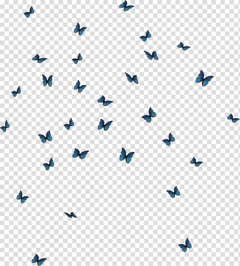 Butterfly Scatter  FREE Content transparent background PNG clipart