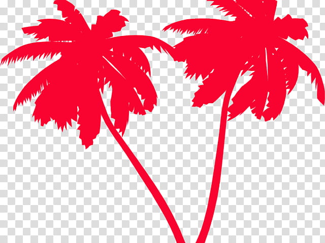 Coconut Tree Drawing, Palm Trees, Sabal Palm, Palm Branch, Leaf, Red, Woody Plant, Flower transparent background PNG clipart