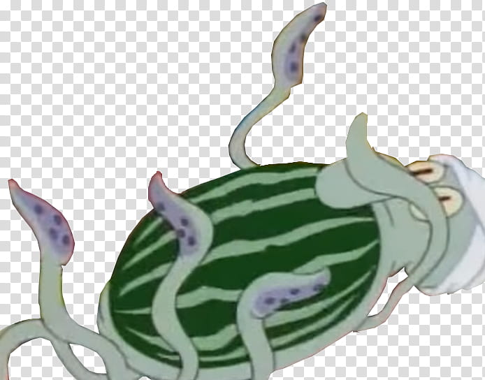 Squidward melon succ transparent background PNG clipart