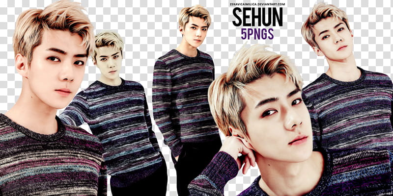 EXO Sehun  Season Greetings transparent background PNG clipart