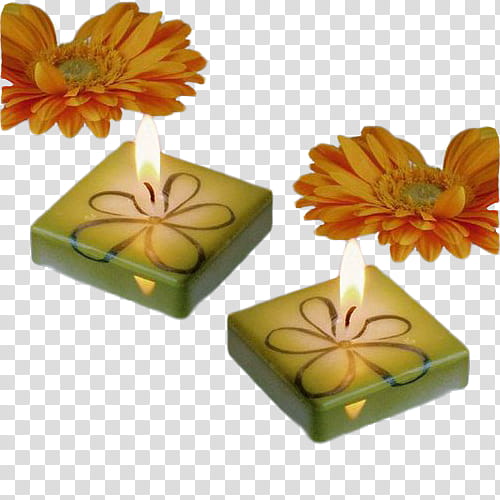 Velas Estilo Vintage, square floral tealight candles and two yellow gerbera daisies transparent background PNG clipart