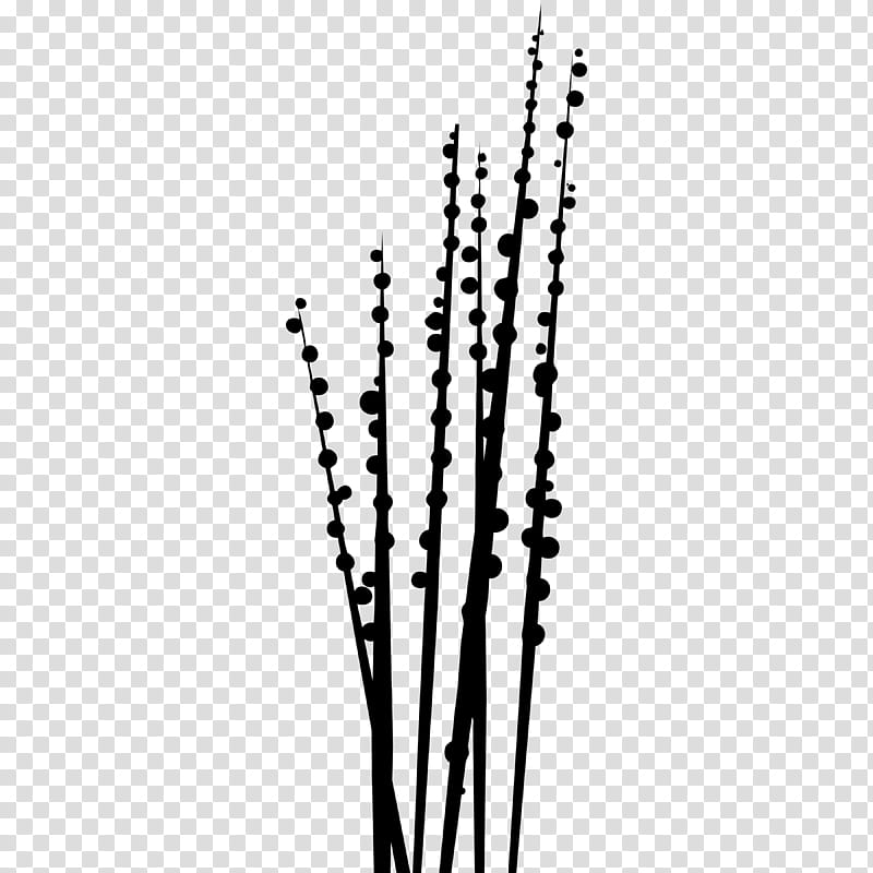 May Flower Custom shapes, black plant transparent background PNG clipart