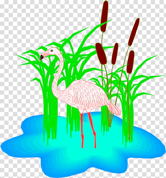 Flamingo, Silhouette, Blog, Greater Flamingo, Grass Family, Aquarium Decor, Plant, Plant Stem transparent background PNG clipart