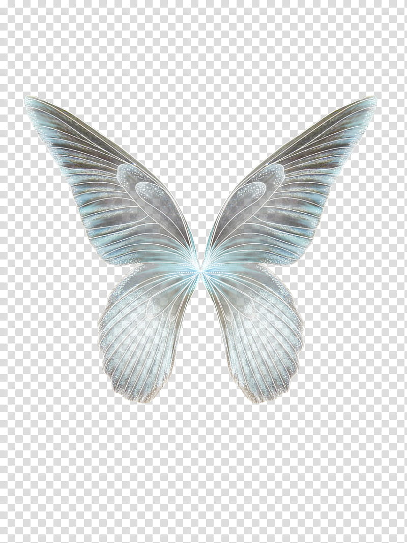 Faerie Wing s, gray and teal butterfly wings illustration transparent background PNG clipart