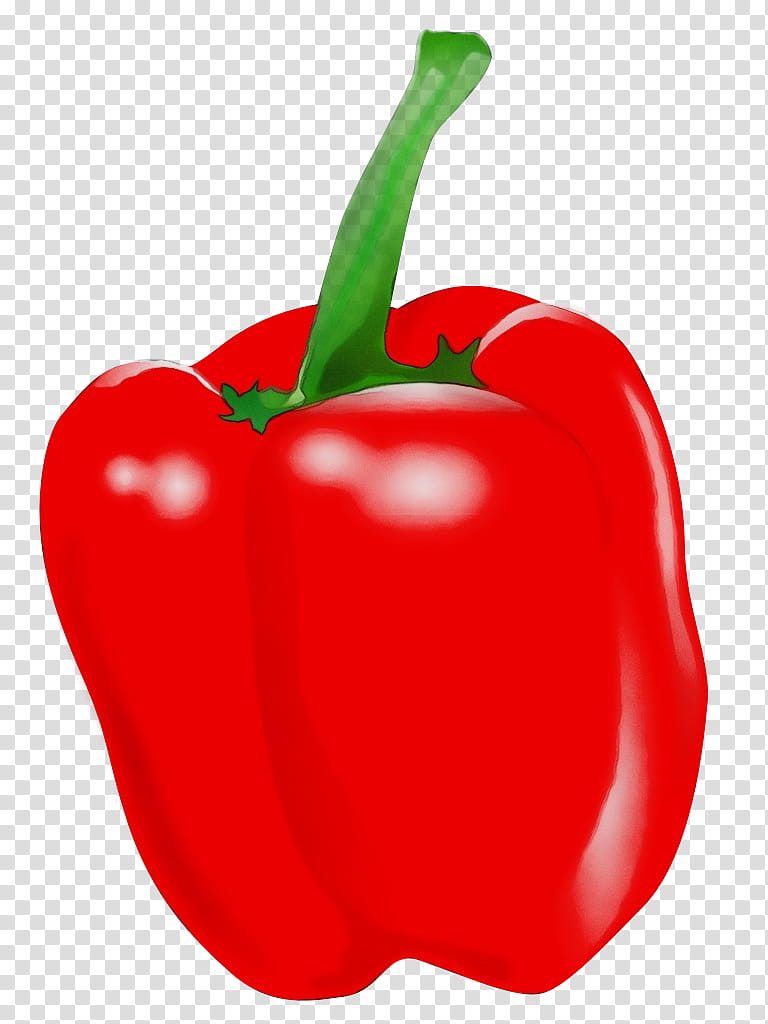 pimiento bell pepper natural foods vegetable red, Watercolor, Paint, Wet Ink, Capsicum, Plant, Paprika transparent background PNG clipart