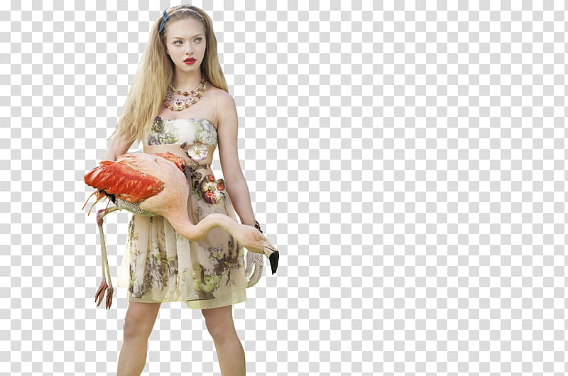 Amanda Seyfried Shoot  transparent background PNG clipart